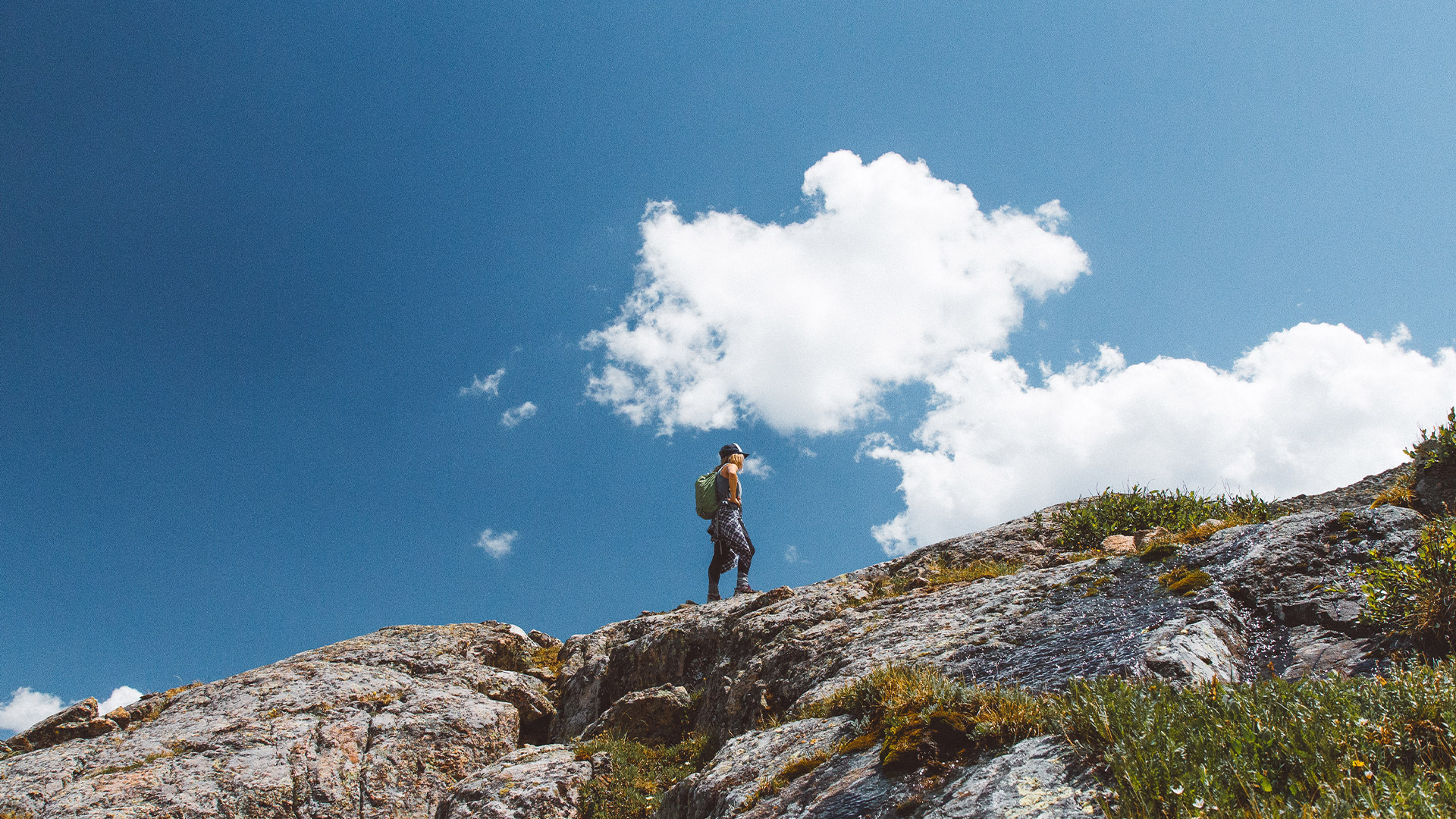 Frequently Asked Question